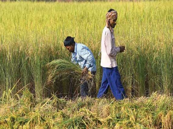 ભારત સરકારે દેશના ખેડૂતો માટે કરી મોટી જાહેરાત, ખેડૂતોના ખાતામાં જમા થશે 2 હજાર રૂપિયા