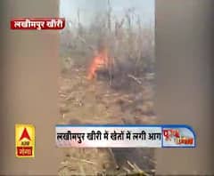 लखीमपुर खीरी में खेतों में लगी आग 