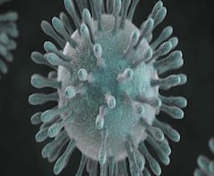 Coronavirus | औरंगाबादेत प्राध्यापिकेला कोरोनाची लागण, संपर्कातील व्यक्तींचा शोध सुरु