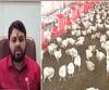 पोल्ट्री व्यावसायिकांना सरकारने अनुदान द्यावं, कोरोनामुळे होणाऱ्या नुकसानानंतर स्वाभिमान शेतकरी संघटनेची मागणी