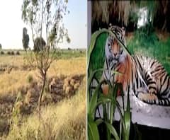 Hingoli Farmers | वन्य प्राण्यांना घाबरवण्यासाठी शेतकऱ्याची अनोखी शक्कल 