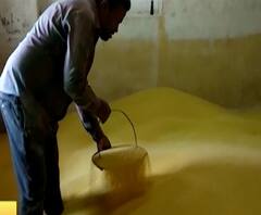 #Coronavirus च्या प्रादुर्भावातही डाळीच्या निर्यातीत तीस टक्क्यांनी वाढ, पोषक घटक असल्याने डाळींना पसंती