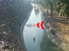 UP: Father dies trying to save daughter taking selfie