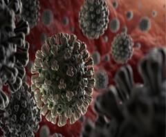 অত্যন্ত সঙ্কটজনক বেলঘরিয়ার করোনা আক্রান্ত, ছিল অন্যান্য অসুখও