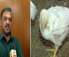 Sunil Kedar on #Corona चिकनमधून कोरोना पसरत नाही, पशुसंवर्धन मंत्री सुनील केदार यांची ग्वाही 