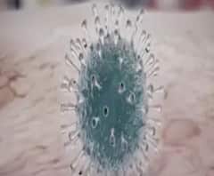 আরও খারাপ পরিস্থিতির জন্য প্রস্তুত থাকতে হবে, করোনা নিয়ে হুঁশিয়ারি বিশ্ব স্বাস্থ্য সংস্থার