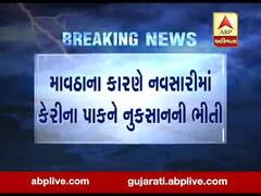 માવઠાના કારણે નવસારીમાં કેરીના પાકને નુકસાનની ભીતિ, જુઓ વીડિયો