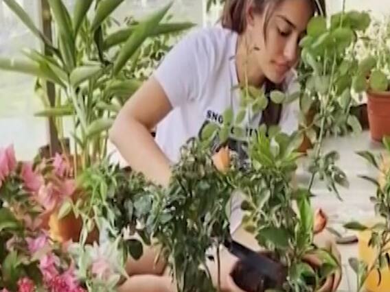 Watch what are celebrities up to during quarantine period | Hot News Full (25.03.2020)