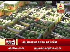 મુદ્દાની વાતઃ કમોસમી વરસાદથી કેરીના પાકને નુકસાન, જુઓ અહેવાલ 