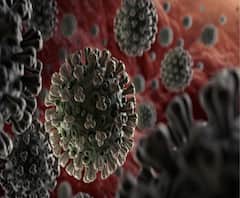 ভারতে ফের করোনার বলি, মৃত্যু কর্ণাটকের এক ব্যক্তির