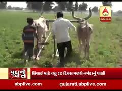 ગુજરાતના ખેડૂતો માટે રાહતના સમાચાર, સરકારે શું કરી મોટી જાહેરાત? જુઓ વીડિયો