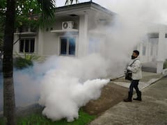 હવે રાજકોટ શહેરમાં વધ્યો મચ્છરોનો ઉપદ્રવ , જુઓ વીડિયો