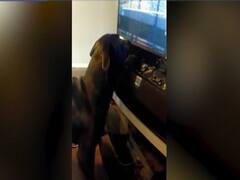 Watch top viral news of the world