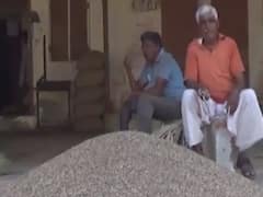 પાટણઃ એરન્ડાના ભાવમાં કડાકો થતા ખેડૂતો નારાજ, જુઓ વીડિયો