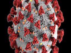 Lucknow administration tests foreigners for coronavirus