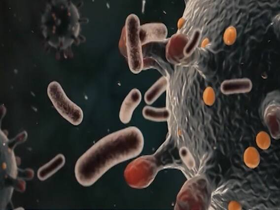 Special Report: कोरोना को लेकर चीन ने दुनिया के साथ किया 'विश्वासघात' 