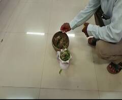 corona | उस्मानाबाद जिल्हाधिकारी कार्यालयात कोरोना व्हायरस पळविण्यासाठी जाळल्या गोवऱ्या, धूप