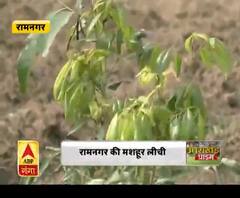 रामनगर की मशहूर लीची