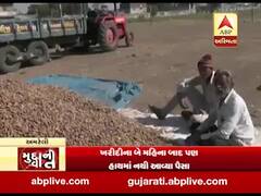 મુદ્દાની વાતઃ ટેકાના ભાવે વેચેલી મગફળીના રૂપિયા ખેડૂતોને ક્યારે મળશે? જુઓ અહેવાલ 