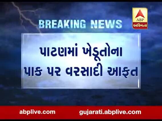 પાટણમાં સતત બીજા દિવસે વાદળછાયું વાતાવરણ, કપાસના પાકને નુકસાન, જુઓ વીડિયો