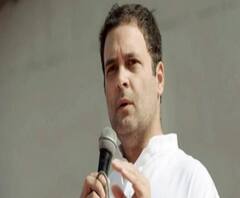 দিল্লির হিংসা-বিধ্বস্ত এলাকা পরিদর্শনে রাহুল গাঁধী, যাবেন ব্রিজপুরীর ভষ্মীভূত স্কুলে 