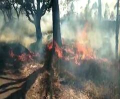 Rural News | अप्लवयीन वेटरकडून आपल्या सहकाऱ्याची हत्या | माझं गाव माझा जिल्हा | ABP Majha