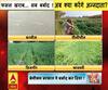 UP Rain: फसल खराब.. सब बर्बाद ! अब क्या करेंगे अन्नदाता ?