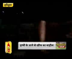 खाली सड़कों पर उतरे जानवर,हाथी के आने से खौफ का माहौल