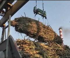 CM Uddhav Thackeray | काँग्रेस आणि राष्ट्रवादी काँग्रेसच्या साखर सम्राटांना उद्धव ठाकरेंचा दणका 