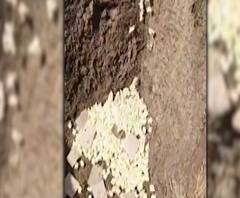 Rural News | माझं गाव माझा जिल्हा | गावाकडच्या बातम्यांचा वेगवान आढावा | ABP Majha