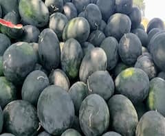 Corona Special Report | आधी दुष्काळ, मग अवकाळी आणि आता कोरोना; शेतकऱ्यांना मोठा फटका