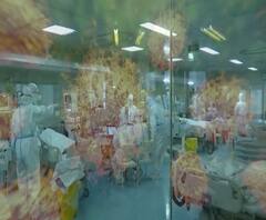 Corona Patients | मुंबईच्या कस्तुरबा रुग्णालयात 800हून अधिक रुग्णांची टेस्टसाठी गर्दी