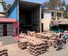 #CoronaVirus शेती व्यवसायाला कोरोनाचा फटका, निर्यात बंद झाल्याने कांदा, द्राक्षं पडून