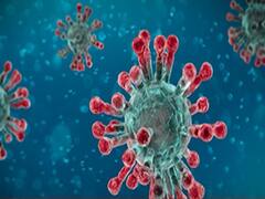 Is deadly Coronavirus a biological weapon?
