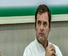 দিল্লির হিংসা নিয়ে স্বরাষ্ট্রমন্ত্রীর পদত্যাগ দাবি, সংসদে গাঁধী মূর্তির সামনে বিক্ষোভ কংগ্রেসের