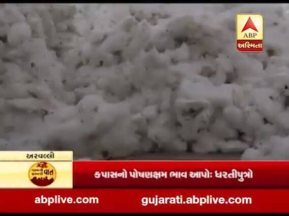 કોરોના વાયરસથી ખેડૂતોને ફટકોઃ અરવલ્લીમાં કપાસના ભાવમાં કાડાકો, જુઓ વીડિયો