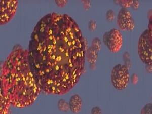 Digital fraud on the rise during outbreak | Sansani