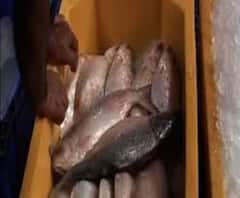 লকডাউনের তৃতীয় দিনে বারাসাতের হৃদয়পুরের ক্রেতার তুলনায় মাছের জোগান কম, দামও চড়া