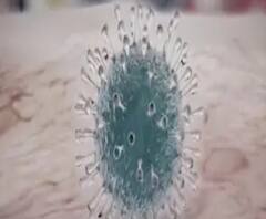 দেশে করোনা আক্রান্তর সংখ্যা বেড়ে ৭৩, আক্রান্তদের মধ্যে ৫৬ জন ভারতীয়: স্বাস্থ্যমন্ত্রক 