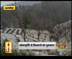 अल्मोड़ा :ओलावृष्टि और बारिश से परेशानी