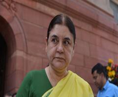 পশুদের থেকে করোনা ছড়ায়, সরকারি দফতর থেকে এই ভুল বার্তা দেওয়া হচ্ছে, অভিযোগ মানেকা গাঁধীর