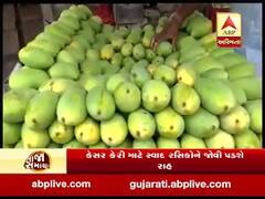 કેરીના શોખીનો માટે મોટા સમાચાર, રાજકોટ માર્કેટમાં કેરીનું આગમન, જુઓ વીડિયો