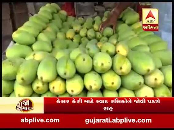 કેરીના શોખીનો માટે મોટા સમાચાર, રાજકોટ માર્કેટમાં કેરીનું આગમન, જુઓ વીડિયો