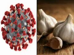 क्या लहसुन की 8 कलियां Coronavirus से बचाएंगी? | Namaste Bharat Part 2