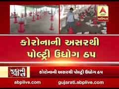 મુદ્દાની વાતઃ નવસારી પોલ્ટ્રી ફાર્મને કોરોના વાયરસની અસર, જુઓ અહેવાલ