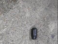 સુરત એરપોર્ટ પરથી વધુ એક વખત દાણચોરી ઝડપાઇ, યુવકની અટકાયત, જુઓ વીડિયો