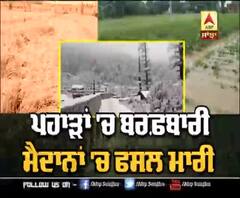 ਪਹਾੜਾਂ 'ਚ ਬਰਫ਼ਬਾਰੀ, ਮੈਦਾਨਾਂ 'ਚ ਫਸਲ ਮਾਰੀ 