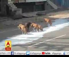 लॉकडाउन में क्या से क्या हो रहा है ?