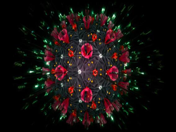 100 days of Coronavirus: Where does the world stand? | Namaste Bharat (10.04.2020)