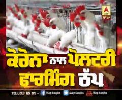 Coronavirus ਦੀ Paultry Farm 'ਤੇ ਮਾਰ